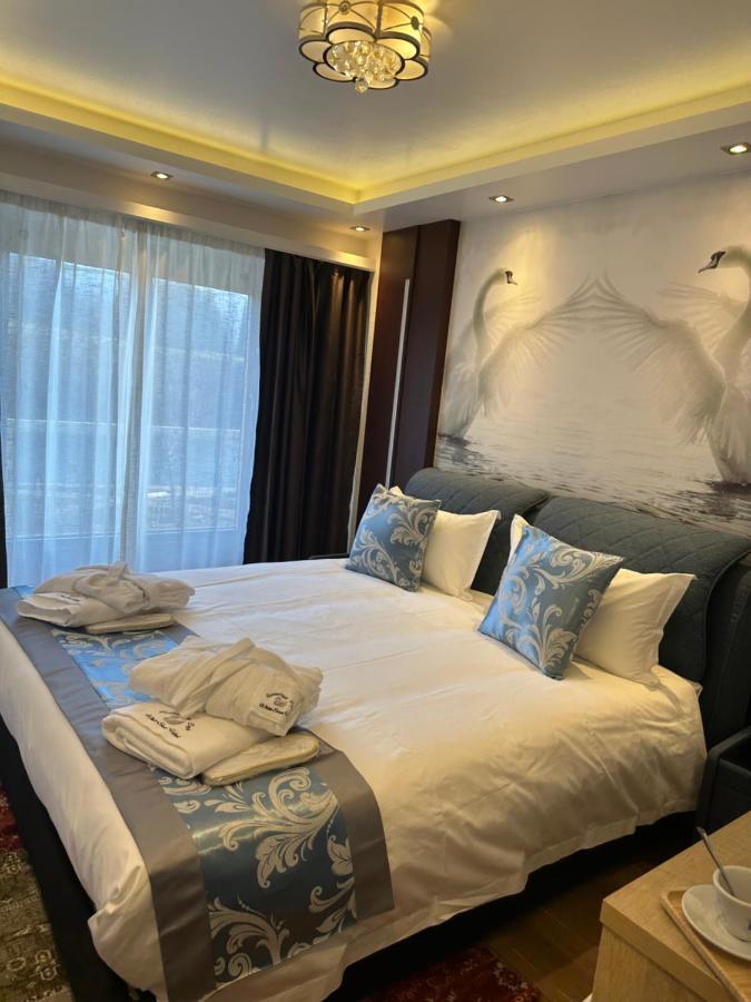 Hotel Whiteswan 4*